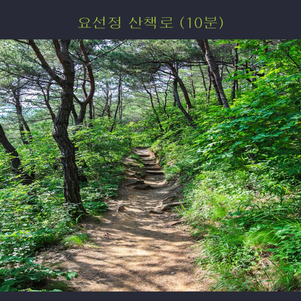 주변전경